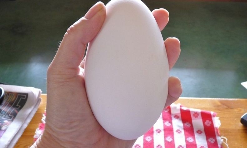 Bà bầu nên ăn trứng ngỗng vào tháng thứ mấy? | Góc Làm Mẹ